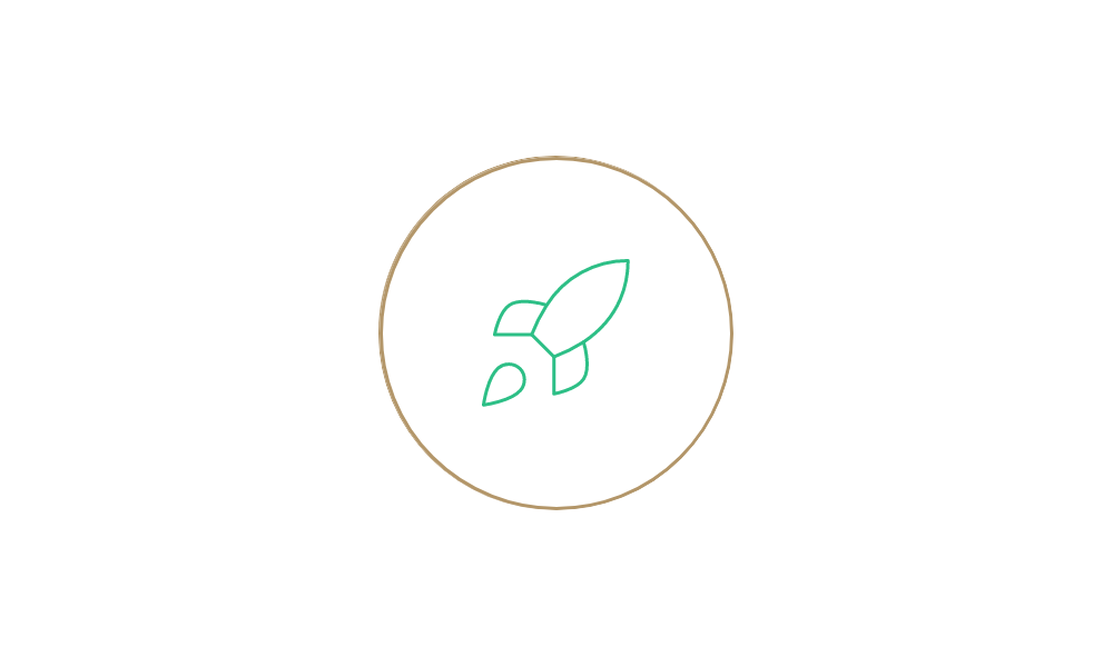 rocketship icon