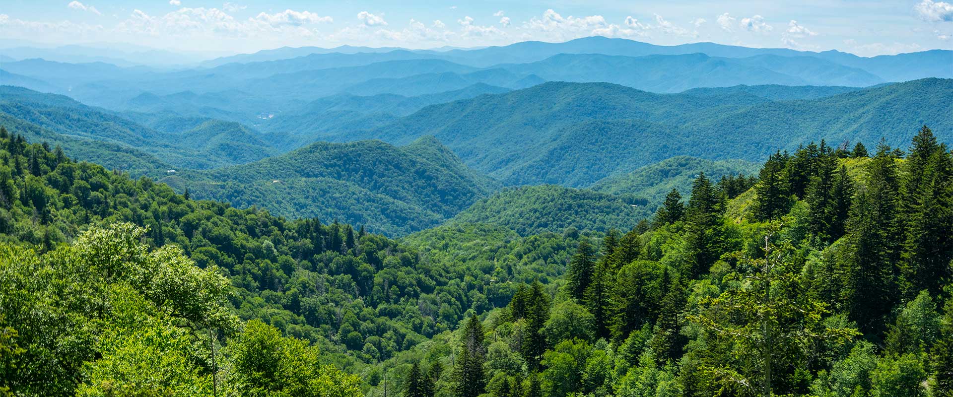 landscape view of lush green mountains